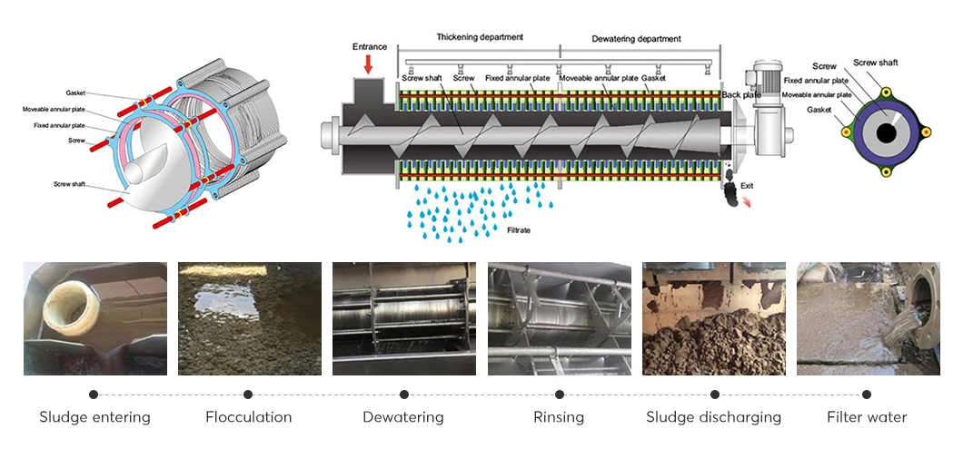 CE/ISO/SGS Wastewater Effluent Treatment Plant Screw Filter Press Sludge Dewatering Machine